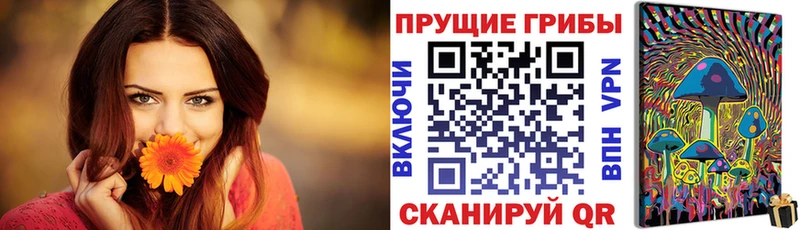 Псилоцибиновые грибы Psilocybe Кировск